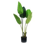 King Collection Plante Strelitzia H. 100 cm 5 Feuilles