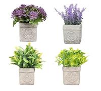 King Home Lot de 4 Plantes artistiques dans Une boîte Transparente d'acétate