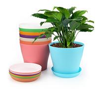 KINGLAKE 8 Pièces 17 CM Pots Plastique Plantes, Cache Pot Interieur Exterieur, Pot de Fleur avec Plateaux, Convient aux Semis, Cactus, Plantes Succulentes, Orchidées, Herbes -8 Coloré