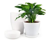 KINGLAKE 8 Pièces 17 CM Pots Plastique Plantes, Cache Pot Interieur Exterieur, Pot de Fleur avec Plateaux, Convient aux Semis, Cactus, Plantes Succulentes, Orchidées, Herbes -Blanc