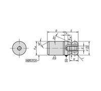 KIPP KIPP Goujon de fixation fileté intérieur unilatéral Gr. 1 M05 Forme A avec embout à bille C20 A20 Quantité:1