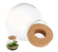 Kisangel Vase pour Plante Hydroponique en Verre Support en Bois, Design Créatif et Élégant pour Décoration de Chambre et Culture de Plantes à Eau