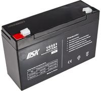 Kit 2 batteries au plomb 6 V 12 Ah DSK
