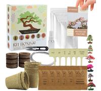 Kit 6 bonsais interieur complet