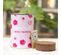 Kit à semer graines de roses trémières