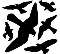 Kit anti-oiseaux - Lot de 6 - Durable - 6 pièces - Protection contre les oiseaux - Kit anti-oiseaux Traduit en allemand : Kit anti-oiseaux - 6 pièces - Durable - Protection contre les oiseaux