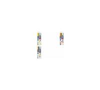 STAEDTLER Pinceaux Aquarelle Faciles - Oiseaux - Ensemble de 5