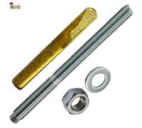 Kit BricoLoco Taco chimique monodose avec goupille à tige, écrou et rondelle. Capsule chimique pour ancrage dans le béton, la pierre, le fer, le sol, le plafond, le mur,... (10, M-20X260)