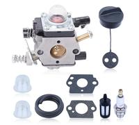 Kit carburateur pour Stihl BG72 BG4227, WT253, comprenant une bougie d'allumage et un filtre