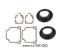 Kit complet de réparation de carburateur pour moteurs R100 40 mm refroidis par air Kit complet de reconstruction comprenant joints et joints pour restaurer la puissance de la tondeuse à gazon et