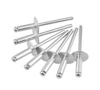 Kit D'assortiment De Rivets Aveugles À Grande Bride En Aluminium, Clous À Vis, Fixation De Conduit De Bateau, Quincaillerie Domestique, 20 À 100 Pièces(40PCS,25mm)