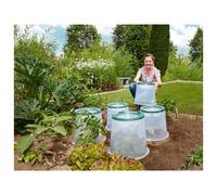 Kit de 3 cloches de culture Sunny