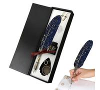 Kit de calligraphie avec porte-stylo à plume décoré, 2 pointes interchangeables, flacon d'encre noire et boîtier décoratif de 27,9 cm F