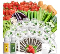 Kit de capsules de graines de légumes compatible avec le système de culture hydroponique AeroGarden