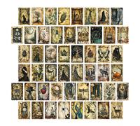 Kit de collage mural gothique vintage 50 pièces, petites affiches Dark Academia pour la décoration de la maison et de la chambre, cartes postales rétro avec animaux, crâne, sorcière et thème effrayant