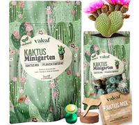 Kit de culture de graines de cactus - Mélange de graines de cactus avec terre de coco et accessoires - Kit complet pour les débutants pour leur propre culture