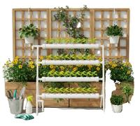 Kit de culture hydroponique, conception à 4 niveaux, 36 emplacements pour plantes, pompe à eau 12V DC, débit maximal de 200 litres/heure, dimensions du produit : 95 cm x 45 cm x 100 cm