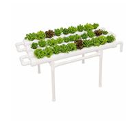 Kit de culture hydroponique Système de jardinage hydroponique Outils pour légumes Plantes Systèmes de culture hydroponique Légumes Fleurs Système hydroponique éducatif (36 sites de plantes 1 couche)