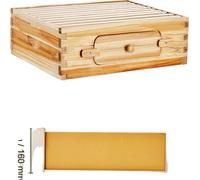 Kit de démarrage de la ruche, 100% cèdre enduit de cire d'abeille, design acrylique transparent, 110P1