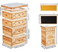 Kit de démarrage de la ruche, 100% cèdre enduit de cire d'abeille, design acrylique transparent, 2ZH12