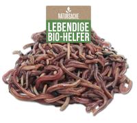 Kit de démarrage pour lombricompostage, comprenant 1000 vers de terre, idéal pour le jardin et le compost