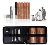 Kit De Fournitures Artistiques Professionnelles Avec Crayons Graphite, Crayons À Charbon, Stylo Effaçable En Papier, Couteau Artisanal, Étui De Transport À Fermeture Éclair, 29 Pièces