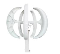 Kit de générateur d'éolienne verticale en forme lanterne 5KW 12V 24V for moulin à vent domestique 5000W faible bruit(blanc,24V)