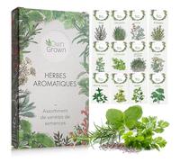 Kit de graines d‘Herbes aromatiques prêt à Pousser OwnGrown, 12 épices et aromates à Planter en Un kit Pratique, Naturelles pour Culture intérieure et extérieure