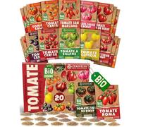 Kit de graines de tomate bio-20 variétés pour une culture facile dans le jardin,sur le balcon ou dans une jardinière surélevée