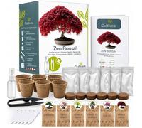 Cultivea - Mini Kit Prêt à Pousser Bonsaï | Jardinez et décorez - Idée Cadeau