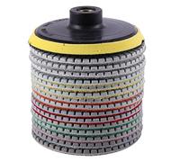 Kit de polissage diamant 16pcs 4 pouces 100 mm humide/sec for pierre granit en béton usage Disques rectification