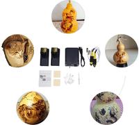 kit de pyrographie 60W, 19 pointes, régulation numérique de la température, accessoires complets