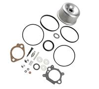 Kit de réparation de carburateur 22 pièces avec joints pour Briggs & Stratton 493762 493640 398191 498260 796611 Argenté