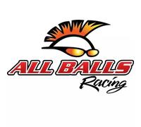 Kit De Réparation De Carburateur All Balls 1118349 - Moteur ALL BALLS