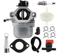 Kit de réparation pour carburateur de tondeuse - Kit comprenant joints et tuyau de carburant - Filtre - Compatible avec les moteurs B&S