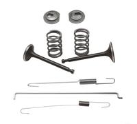 Kit de ressorts de soupape pour moteur à essence GX160 GX200 168F 170F, conçu pour une performance optimale