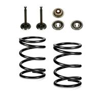 Kit de retenue de ressort de soupape pour 5,5 HP 6. Ensemble d'admission de | Composants métalliques usinés dimensionnés pour correspondre aux spécifications du moteur 5,5 HP et 6,5 HP pour une