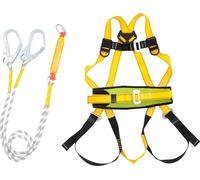 Kit de sécurité antichute - Harnais complet - Résistance à la traction 2200 kg - Taille 80-120 cm - Jambes 66-96 cm - Corde de sécurité 2 m - Extension max. 5 m - Gris