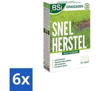 Kit de semences pour pelouse - 250 g - 6 sachets - Entretien de la pelouse - Dense & Robuste