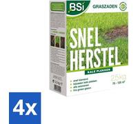 Kit de semences pour pelouse à régénération rapide, 2,5 kg – Dense et résistante
