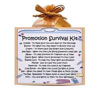 Kit de survie de promotion - Cadeau amusant et carte de vœux alternative / félicitations / bonne chance / Secret Santa