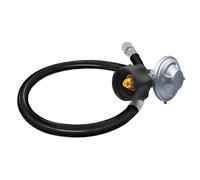 Kit de tuyau et régulateur Weber de 63,5 cm, compatible avec Spirit II (2017-2019), et Spirit E310 E320 E210, Genesis II 210/LX 240, et Genesis II 300/400 (2017-2019), pour Weber 67069, 69891 .