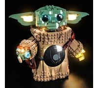 Kit d'éclairage LED compatible avec Lego 75446 Mandalorian Apprentice (pas de modèle), kit d'éclairage décoratif compatible avec le modèle Lego Mandalorian Apprentice