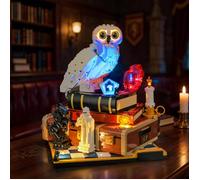 Kit d'éclairage LED - GENERIQUE - Édition Collector - Compatible LEGO Harry Potter - Briques fermées 2.0 - Câblage durable