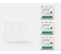Kit d'interrupteur sans fil avec commande vocale, WiFi et télécommande RF433 activée, programmation d'applications et gestion à distance pour maisons intelligentes (C)