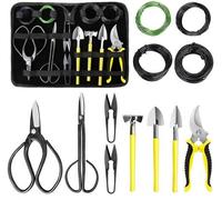 Kit d'outils pour bonsaï, 13 pièces, comprenant un sécateur, une pince à bonsaï, des fils de bonsaï, une mini-houe et une mini-pelle - Kit pour débutants en bonsaï