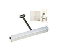 Kit d'ouverture de portail, Ouvre-actionneur de fenêtre automatique, avec Tuya Swich y, télécommande 400N, chaîne unique, domotique for serre électrique