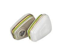 Kit filtre anti-poussière et filtre anti-gaz ABEK1 P3 R - 6004PRO 01