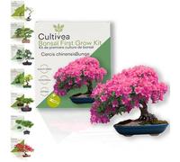 CULTIVEA® Kit First Bonsai Cercis Chinensis - Prêt à Pousser avec Graines & Accessoires - Idée Cadeau Jardinage | Made In France