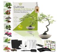 Kit first bonsai hackberry
